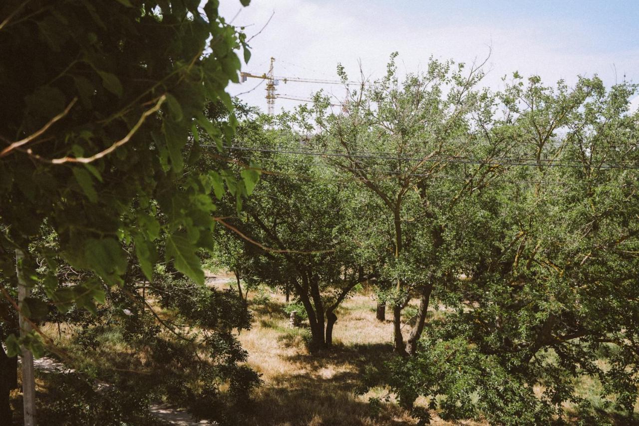 Hotel Tsvetok Οδησσός Εξωτερικό φωτογραφία